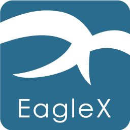 EagleX real-time remote radiologist diagnostics